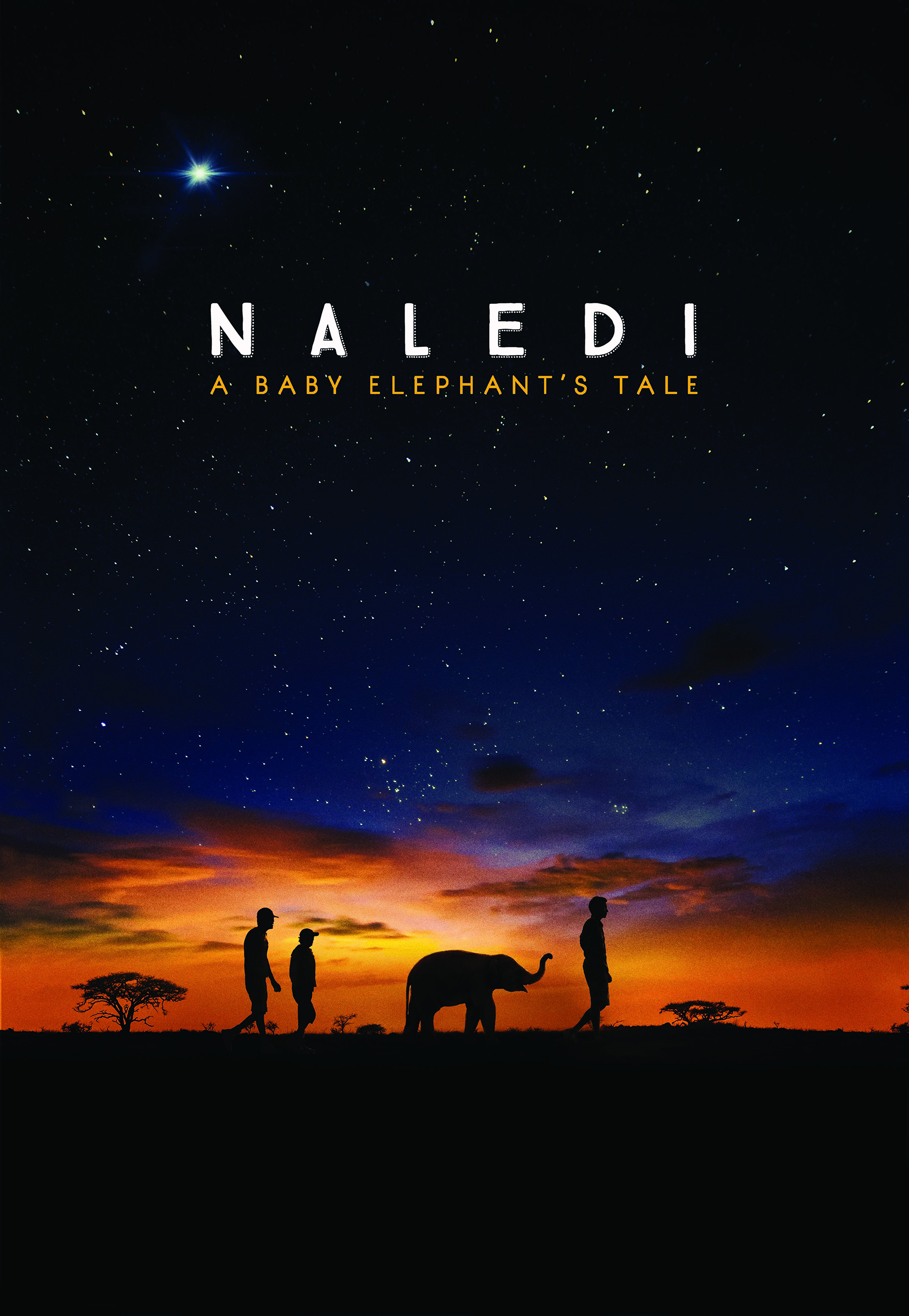 Holodome / Naledi